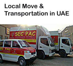 Local Move in UAE